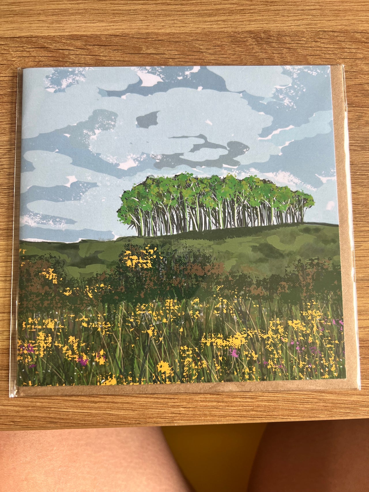 Nearly Home Trees - Rachel Stowe 